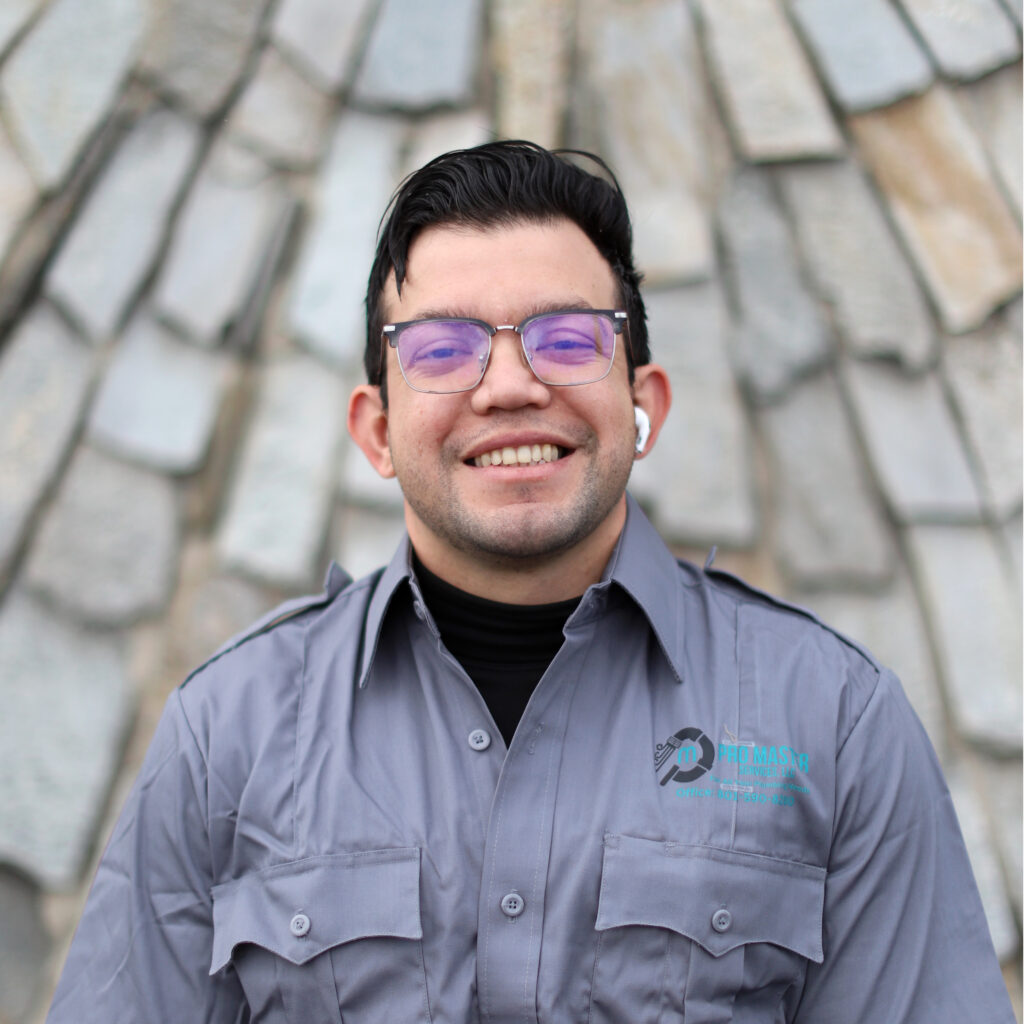 AbdonProMasterServices02