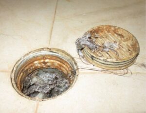 Stop the Fizz: 5 Urgent Reasons to Quit Baking Soda + Vinegar for Drain Clogs (And What Actually Works)