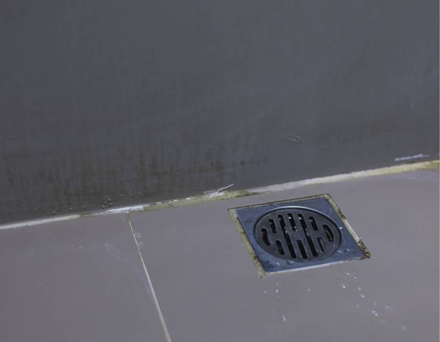 Shower floor drain with signs of mildew and moisture buildup, indicating need for professional drain cleaning