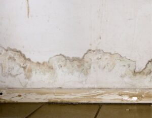 Hidden Leaks Inside Walls? How Pro Master Services Finds Them Before They Wreck Your Home