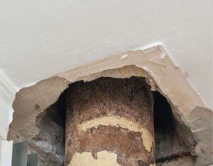 How Utah’s Wild Seasonal Swings Can Wreck Your Drains (and How to Stop It Before It Starts)